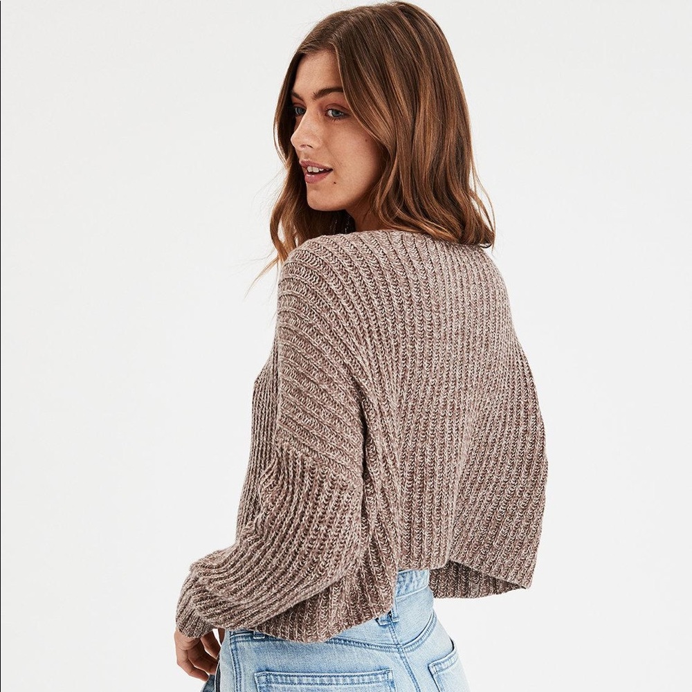 American Eagle Cropped Sweater